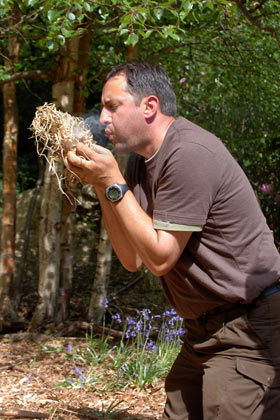 Helping the tinder ignite