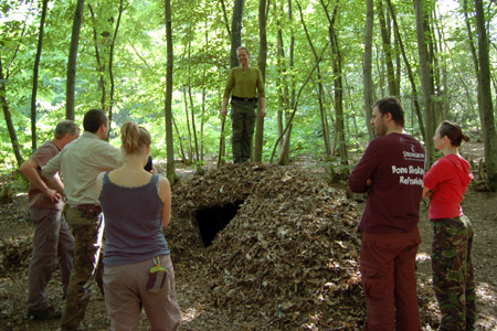 The finished leaf shelter
