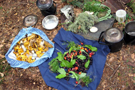 The Journeyman Course