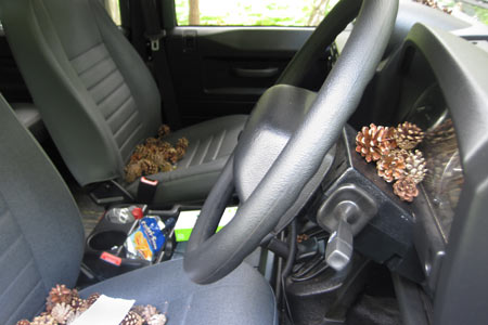 The coned Land Rover