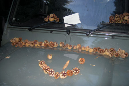 The coned Land Rover