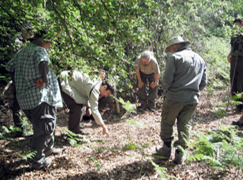 Clients checking their ageing stands