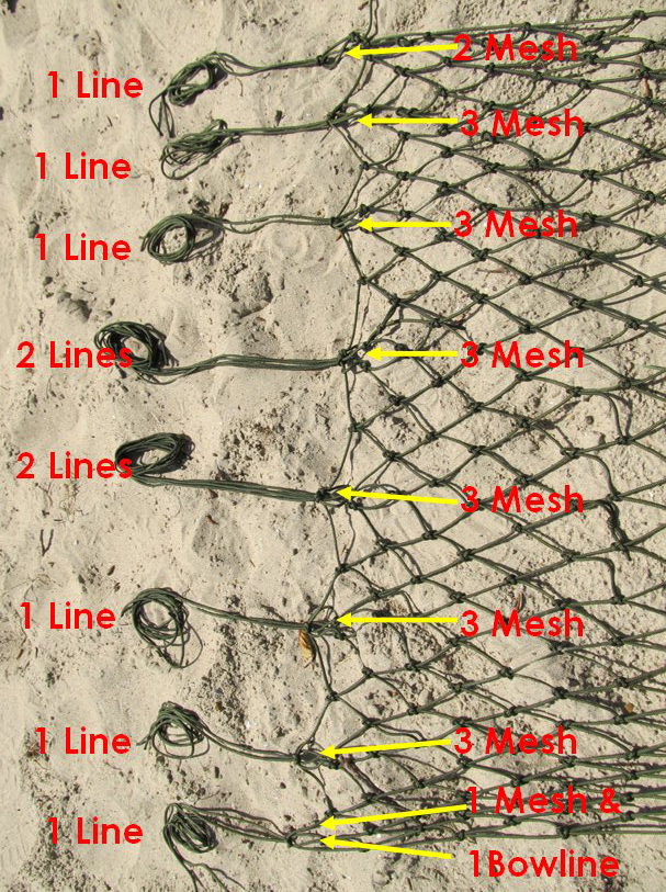 Figure 8 - Lines & Mesh