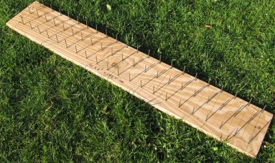 Figure 1B - The Work Board