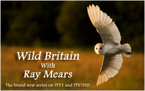 Wild Britain with Ray Mears, Series 2