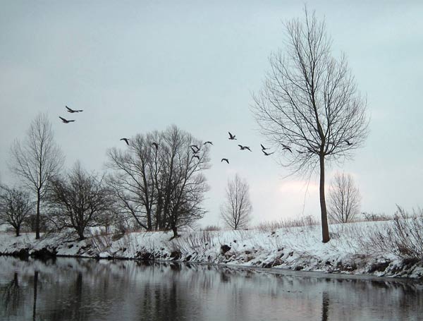 A Canoe Trip in the Snow