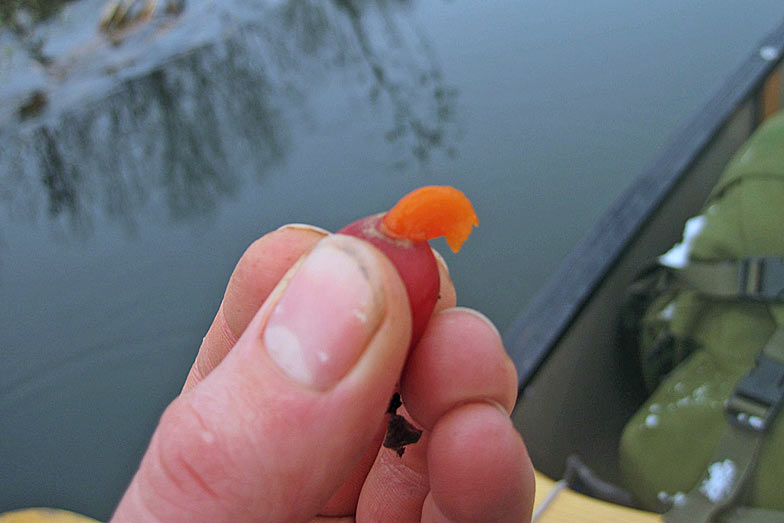 Carefully squeezing out the pulp