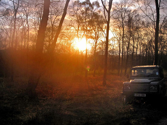 The sun setting over one of Woodlore's bivi sites