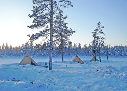 A crisp morning in the Arctic wilderness