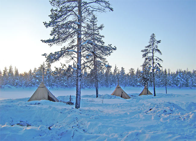 A crisp morning in the Arctic wilderness