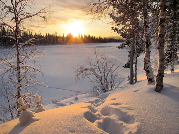 A serene early morning view in Sweden, on Woodlore's Arctic Experience expedition