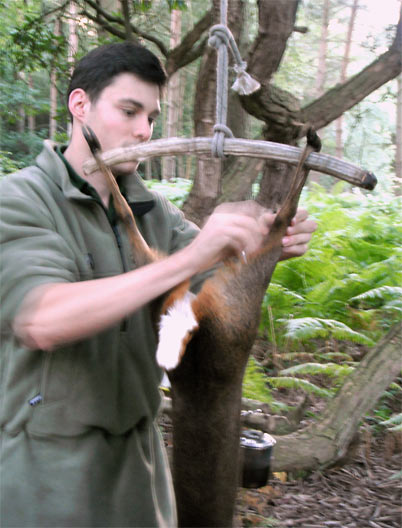 Dan sets to work on the deer using traditional flint tools