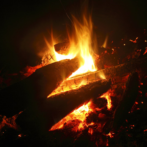 Training week camp fire at Woodlore