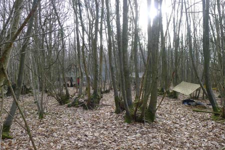Shelters on the Woodlore Introduction to Bushcraft course