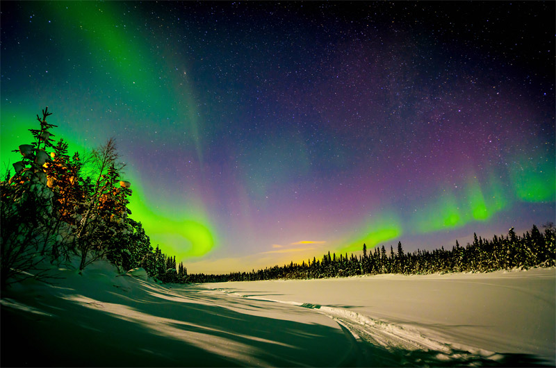 The Woodlore Arctic Experience