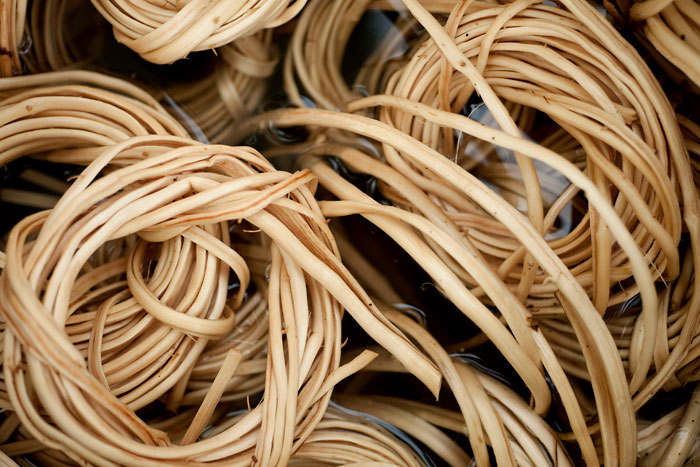 Birch Bark Canoe Building with Ray Mears and Pinock Smith - Day 4