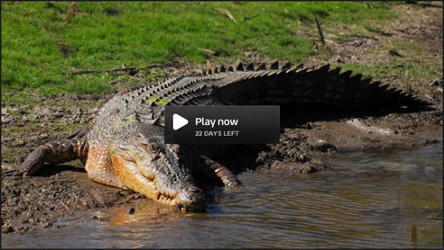 Ray Mears - Close Encounters, Episode 1