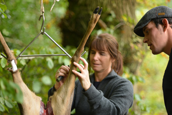 Jane helping Dan to skin the deer