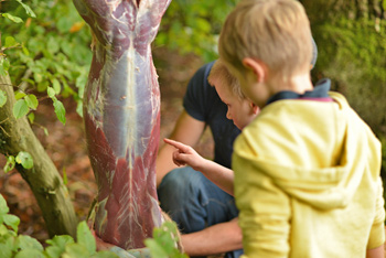 Some of the children helping to prepare the deer for cooking