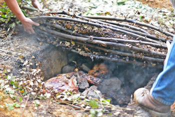 Opening the oven to reveal the perfectly cooked meat