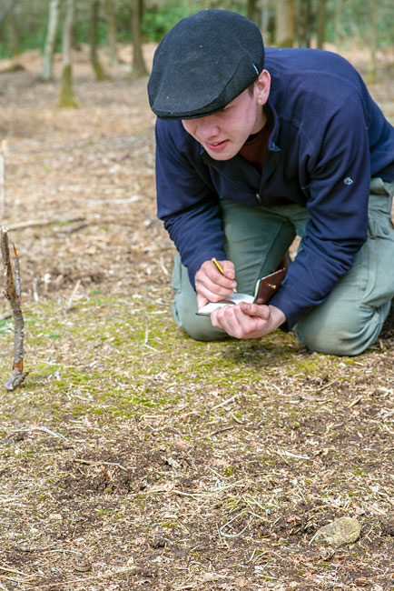 A small adder being identified and observed by a student on the Woodlore Advanced Tracking course