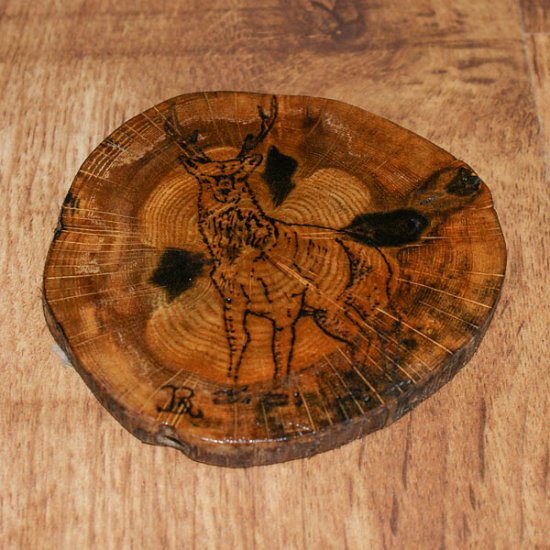 Ross Burt - Deer Coaster 5