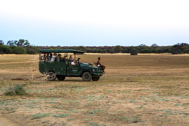 One of our many drives out in the bush