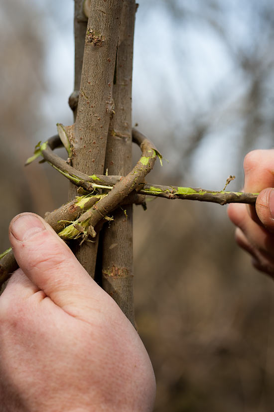 How to make your own cooking tripod