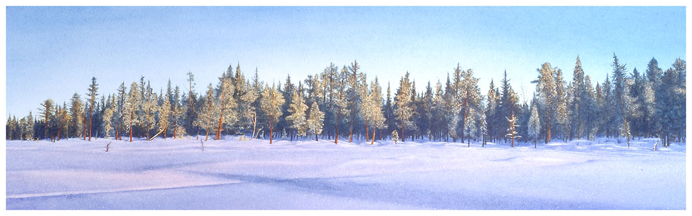 'Forest of Possibility' by Ray Mears and Adam Attew