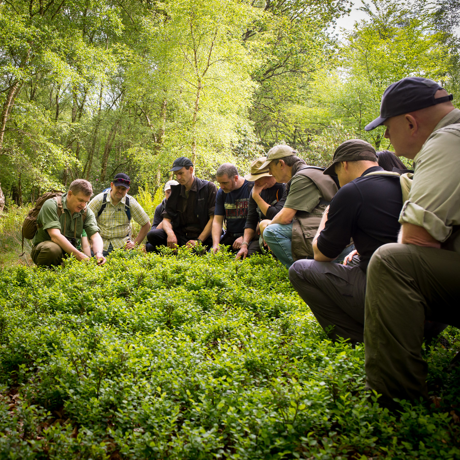 A Walk in the Woods with Ray Mears