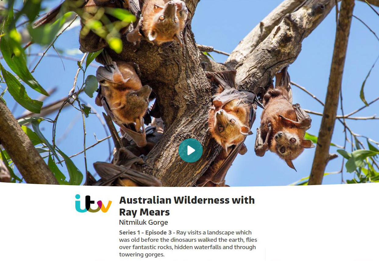 Australian Wilderness with Ray Mears