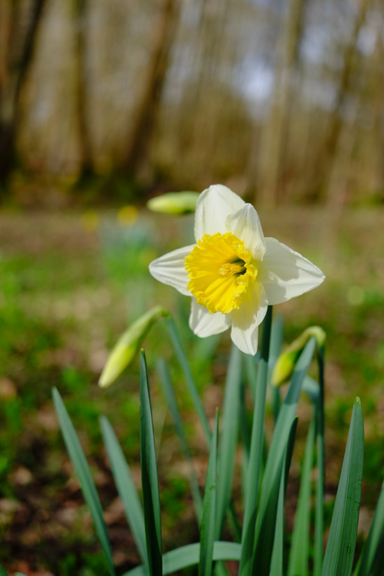 Spring is kicking in to gear